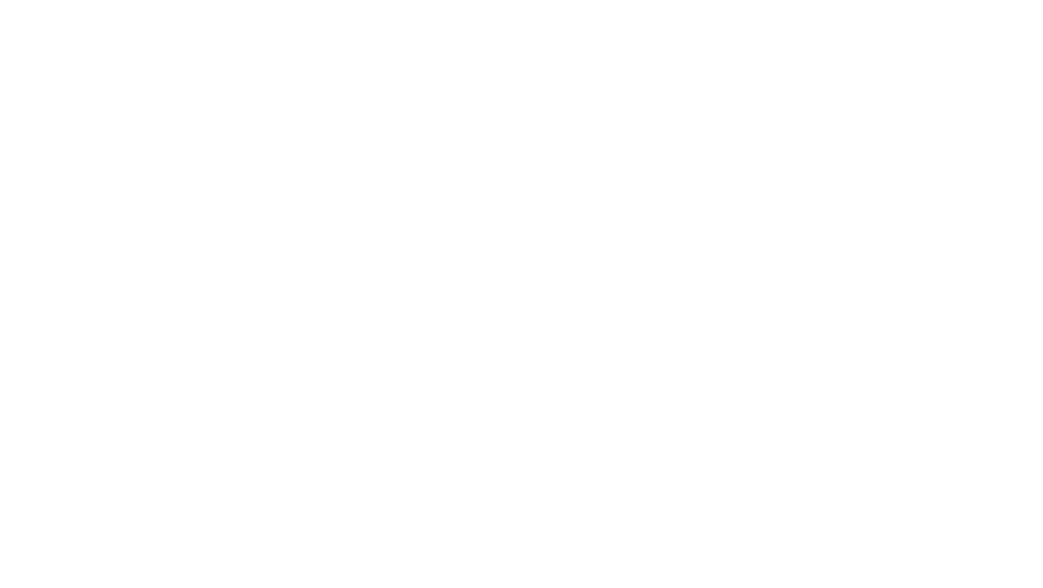 Intranet van Pro Interieur